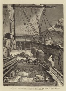 The Arctic Expedition, Esquimaux Dogs on the Deck of the Alert